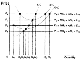 ca foundation economics chapter 4 mcq price output determination in different markets