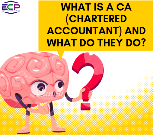 What Is a CA (Chartered Accountant) and What Do They Do